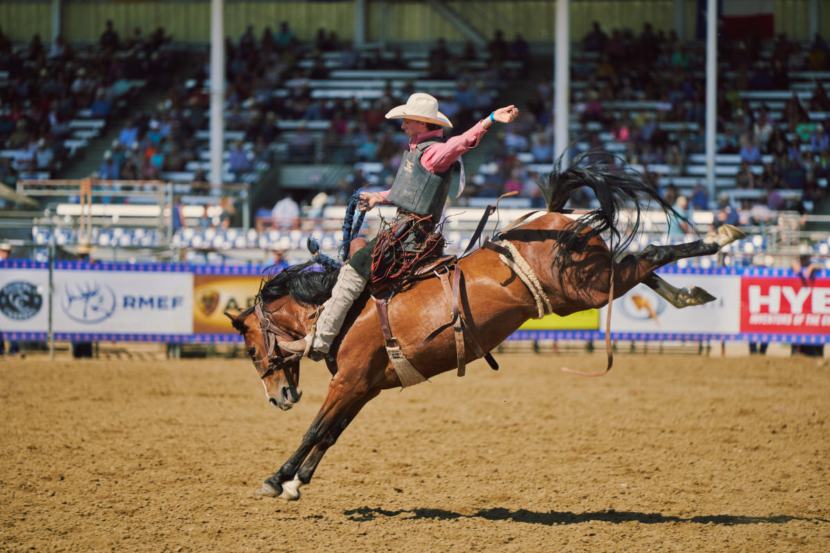 Your Guide to Wyomings Best Rodeos: Jackson Hole, Dubois & Cody