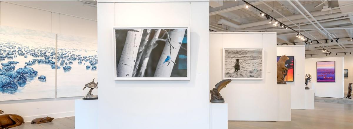Fall Arts Featured Gallery: Gallery Wild