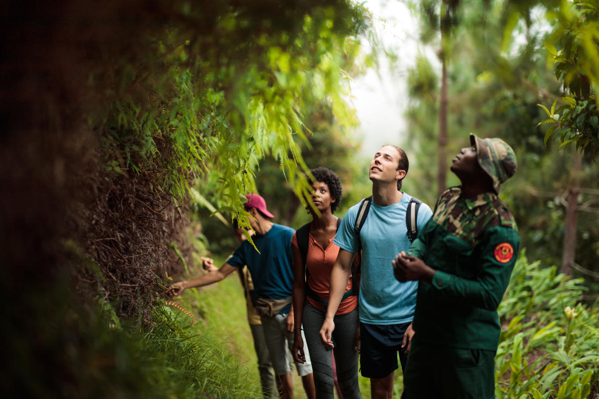 Jamaican Culture  Learn About Language, Music, Dance & Cuisine