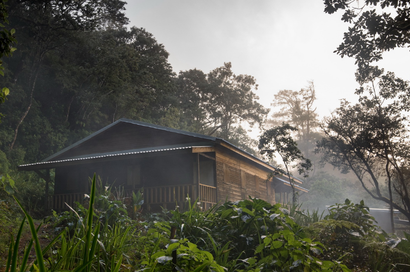 Camping in the Blue Mountains A UNESCO World Heritage Site