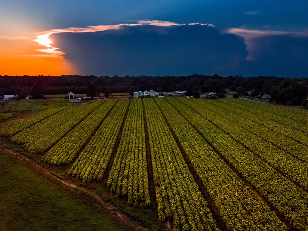 About Johnston County Weather, Johnston County, NC