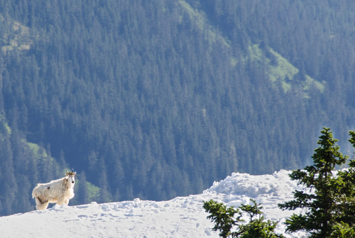 Camping & Cabins in Juneau, AK RV Parks & Vacation Rentals