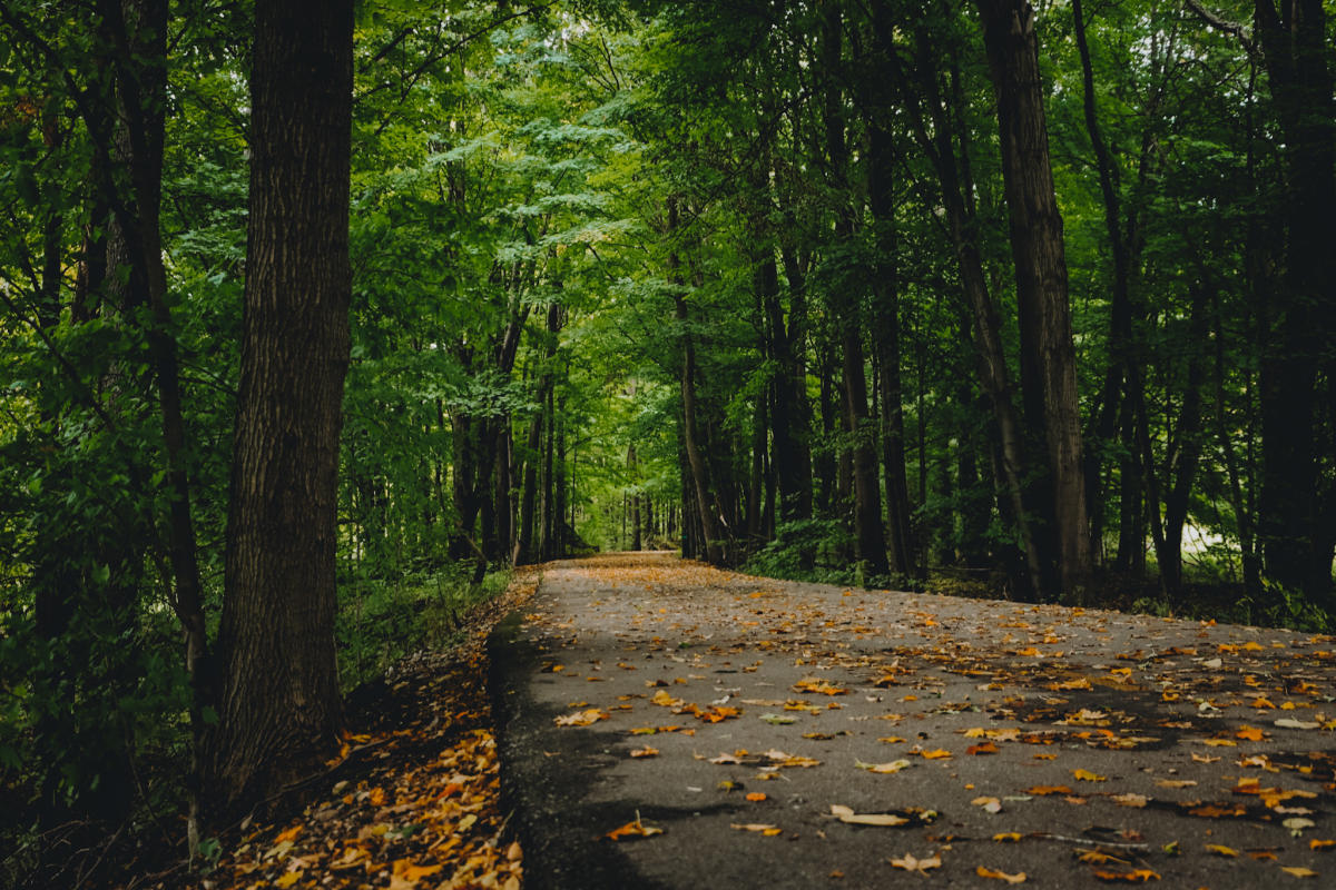 Hiking Trails in Kalamazoo, MI Discover Kalamazoo