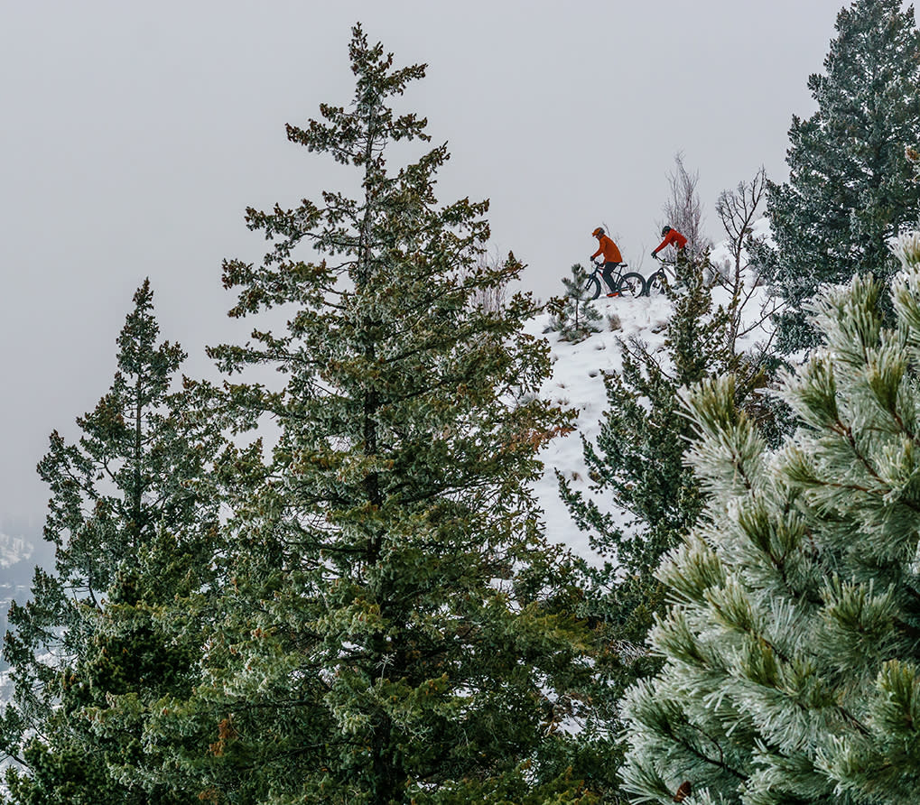 What You Need To Know For Fat Biking Kamloops Bc
