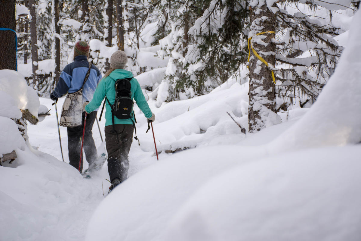 Snowshoeing in Kamloops