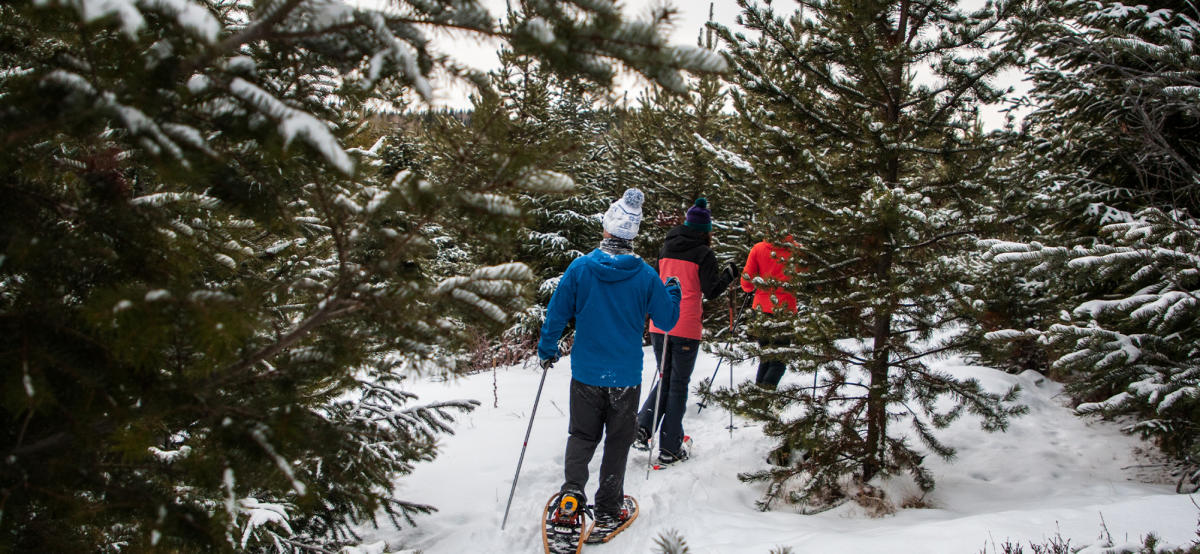 Snowshoeing | Kamloops, BC