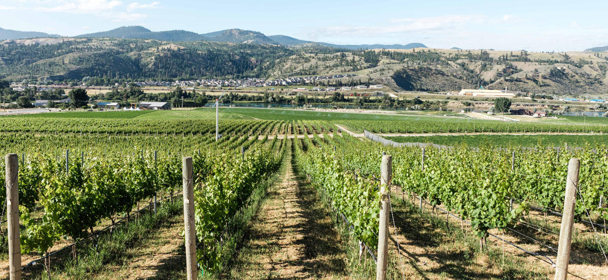 Wineries Kamloops BC