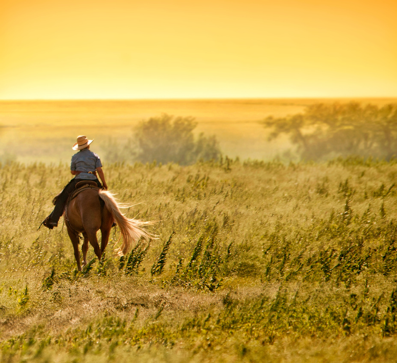 Horseback Riding In Kansas Stables & Equestrian Trails