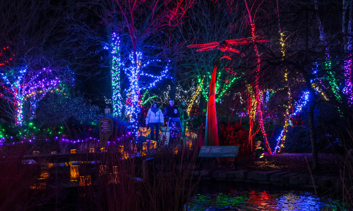 Botanical Gardens Light Up for the Holidays