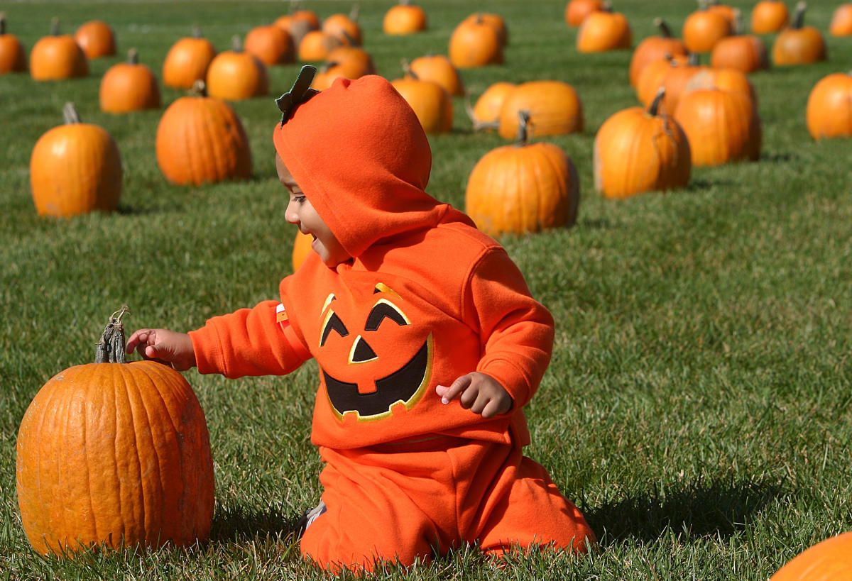 Kansas Pumpkin Patches Fall Activities & Attractions
