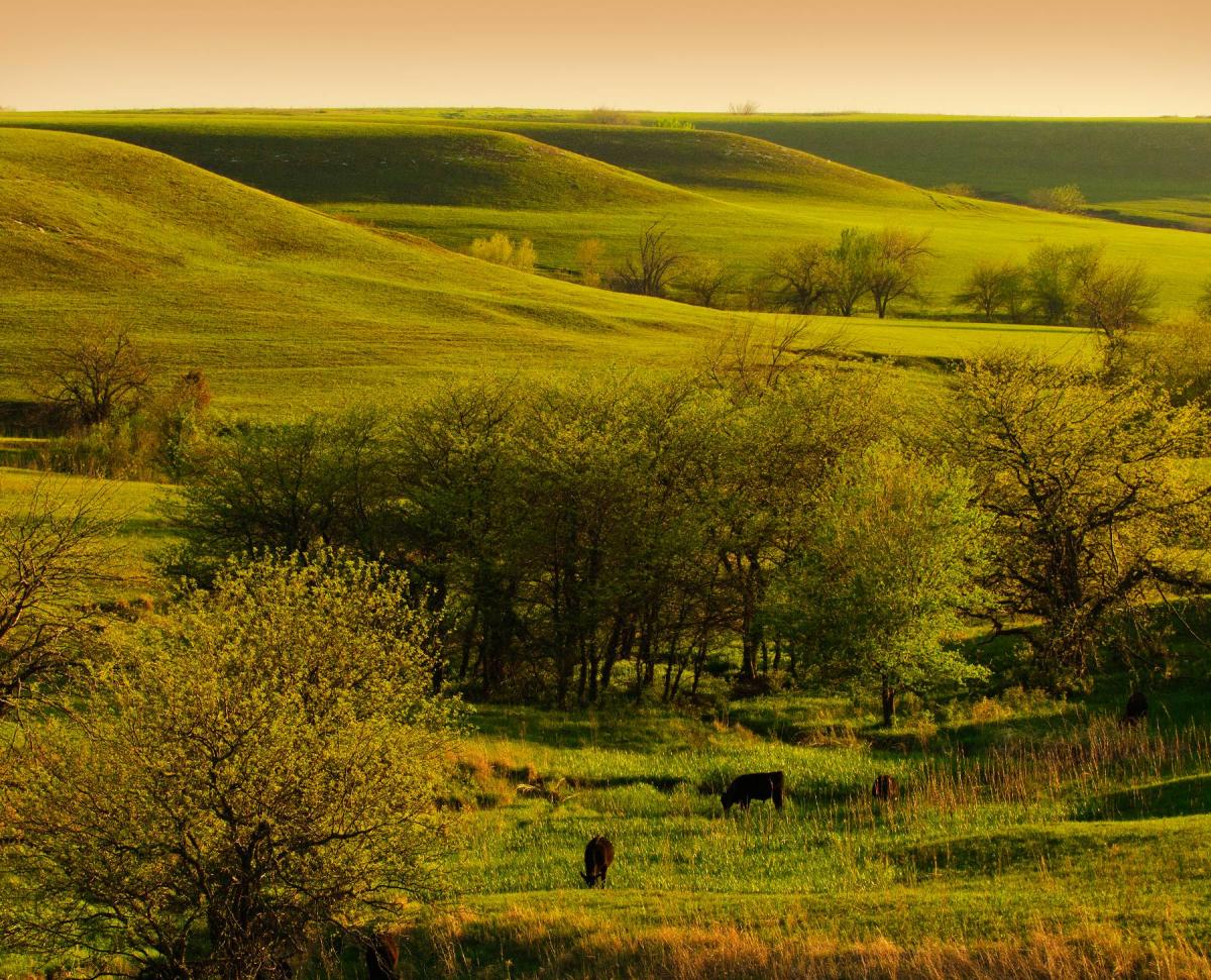 AD ASTRA Newsletter of KANSAS! Magazine