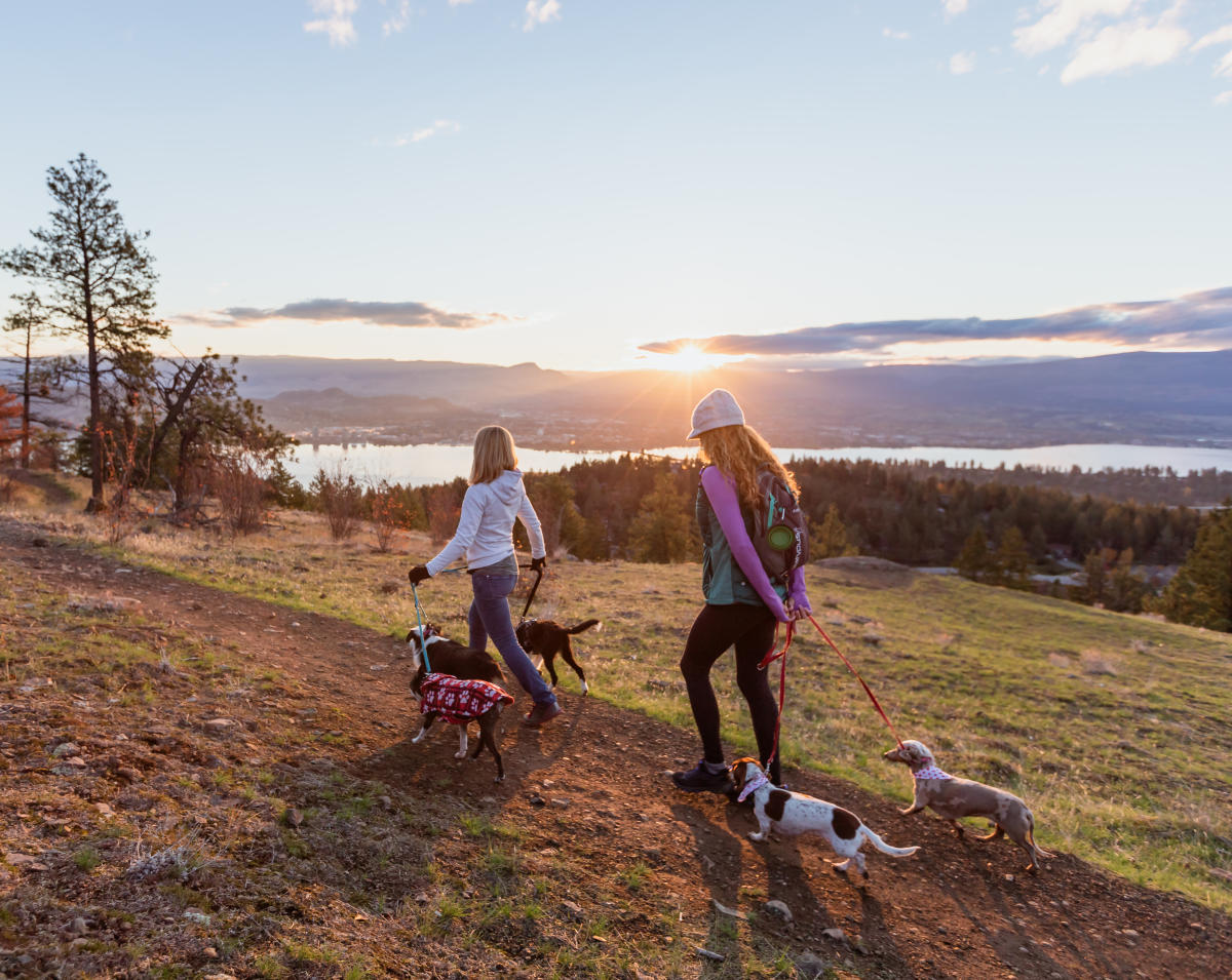 DogFriendly Activities in Kelowna Parks & Beaches