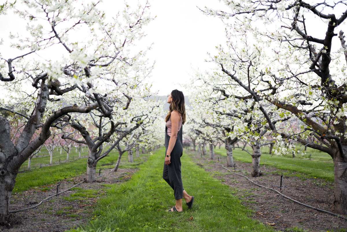 Spring Flowers in Kelowna A Guide To Viewing Wildflowers