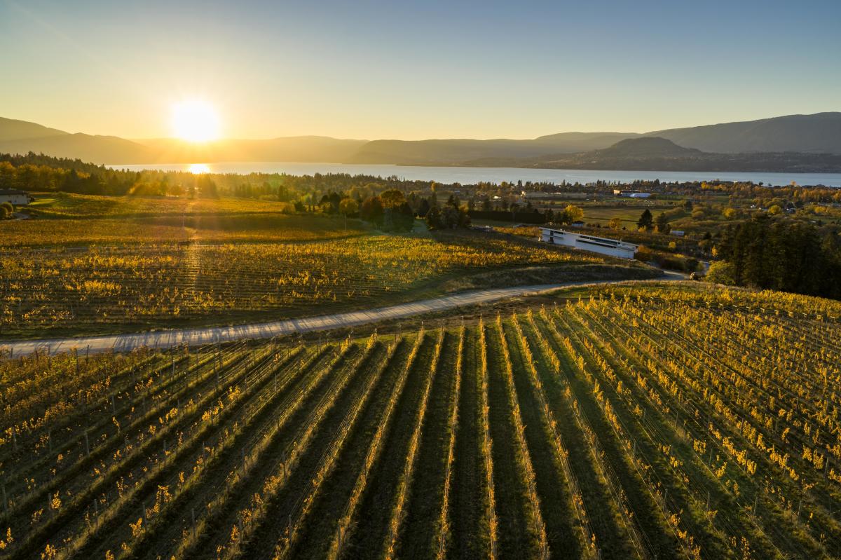 Fall in Kelowna Offers Variety for Meeting and Event Planners