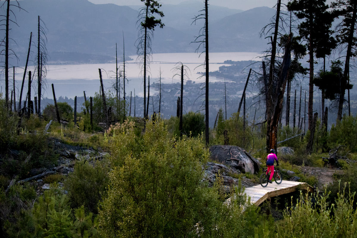 Mountain Biking in Kelowna A close look at the Gillard Network