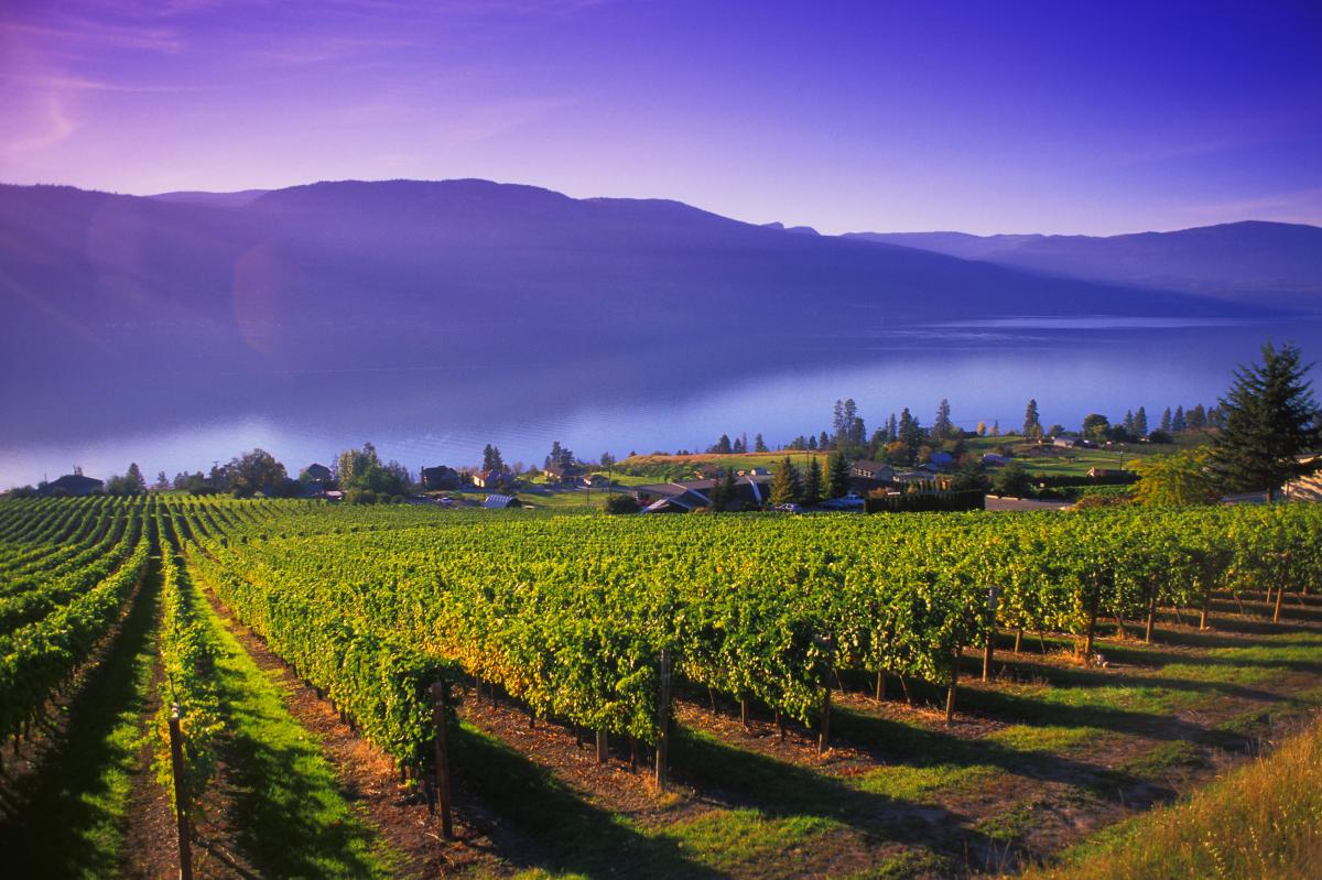 Kelowna is Ripe for Agriculture and Viticulture Conferences