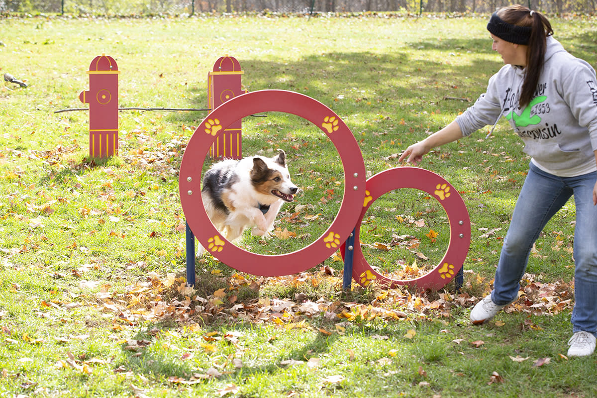 Kenosha Dog Parks Park Features, Amenities & Regulations