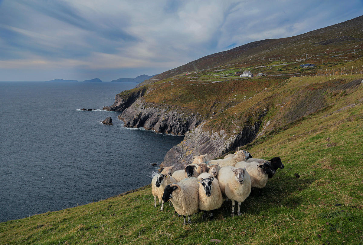 Dingle Peninsula / Corca Dhuibhne - Gaeltacht | Discover Kerry, image size:1200x809
