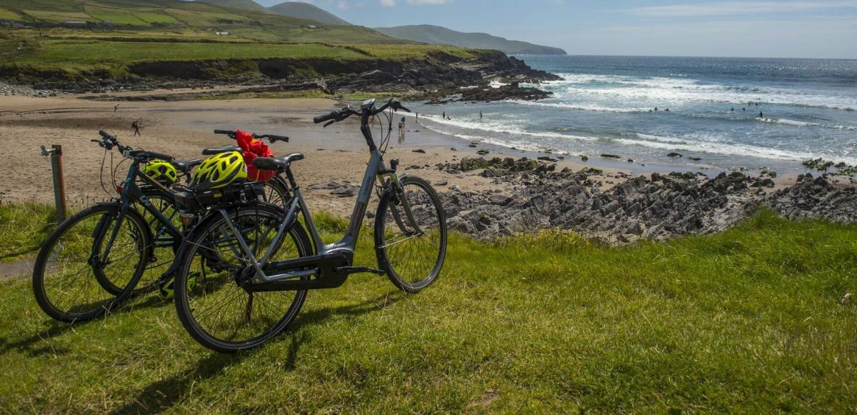 Fulacht fia in Carrig Island