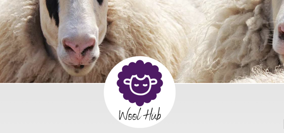 Introducing the Irish Grown Wool Research & Innovation Hub - The Wool Hub