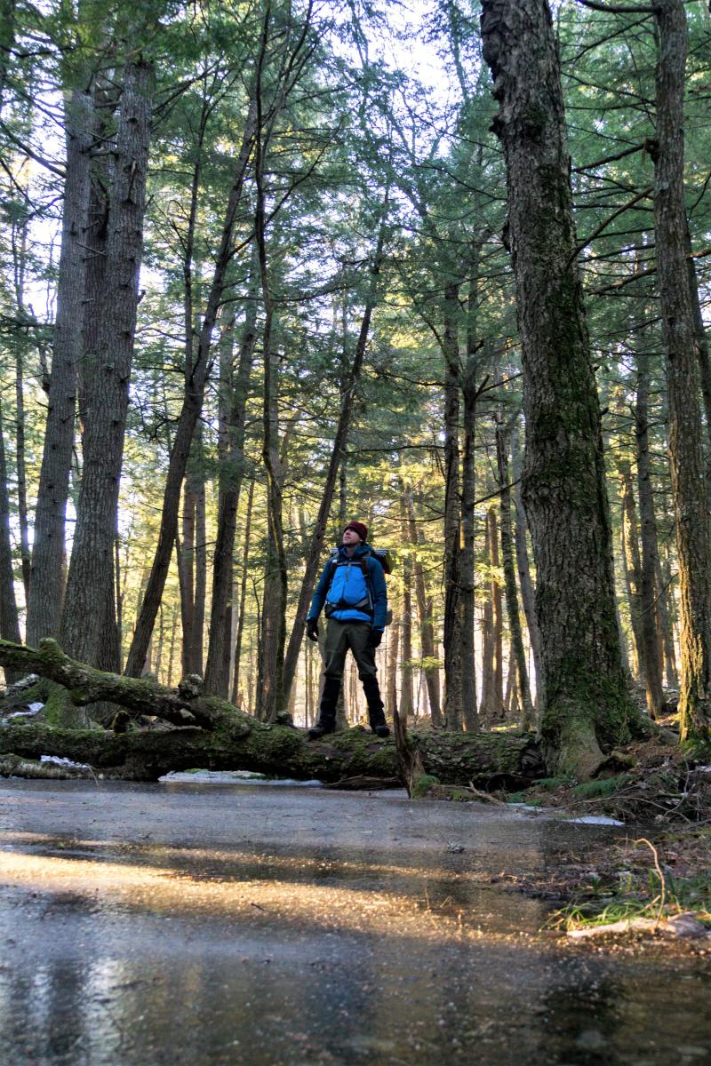 Sturgeon River Wilderness Area Visit Keweenaw