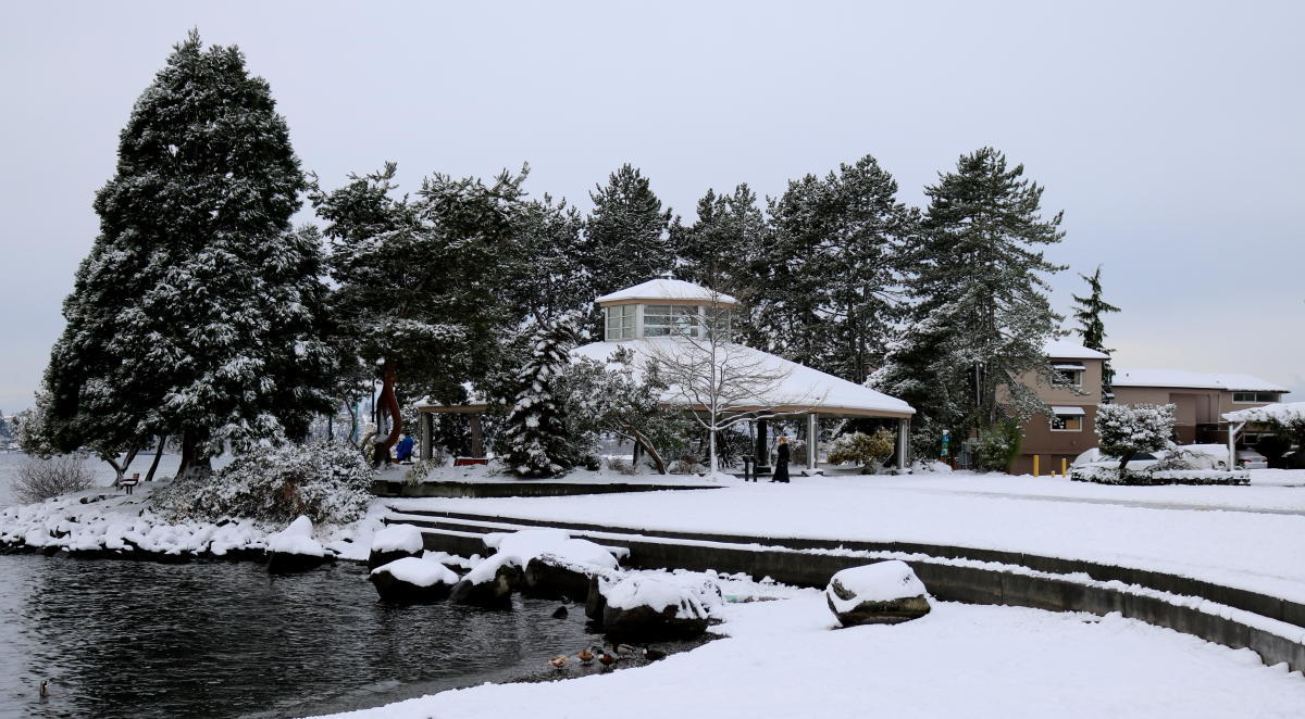 Explore Kirkland Events Guide January 2024 Explore Kirkland Events Guide January 2024