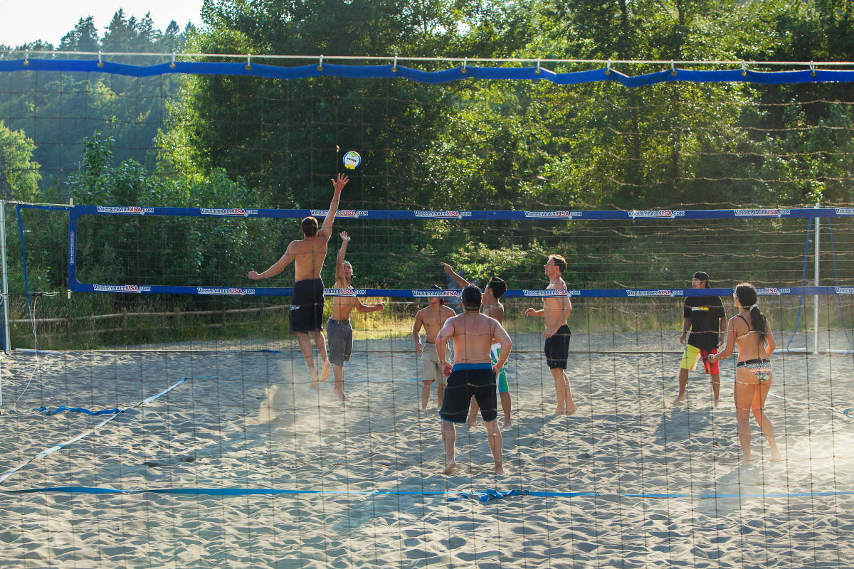 Kirkland Beaches Beach Volleyball, Bird Watching