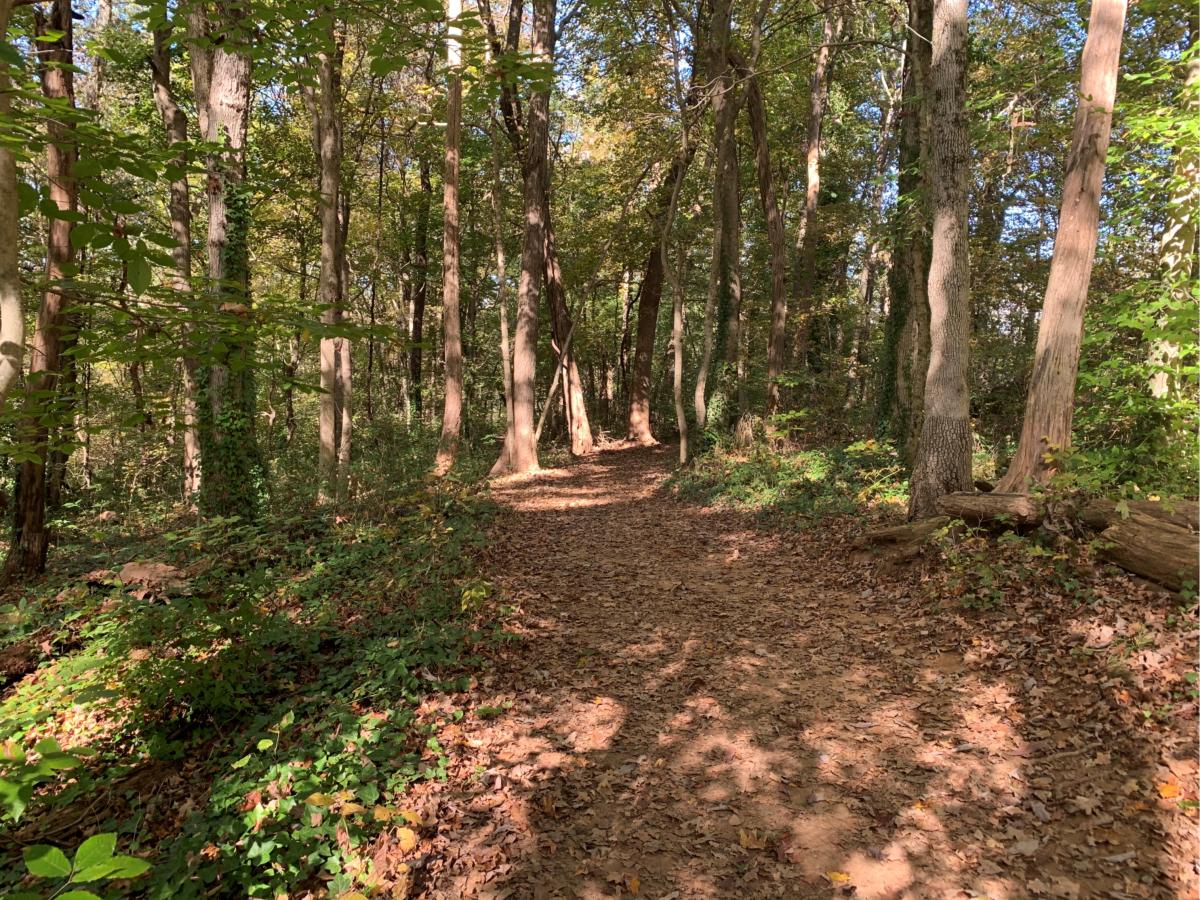 ijams bike trails