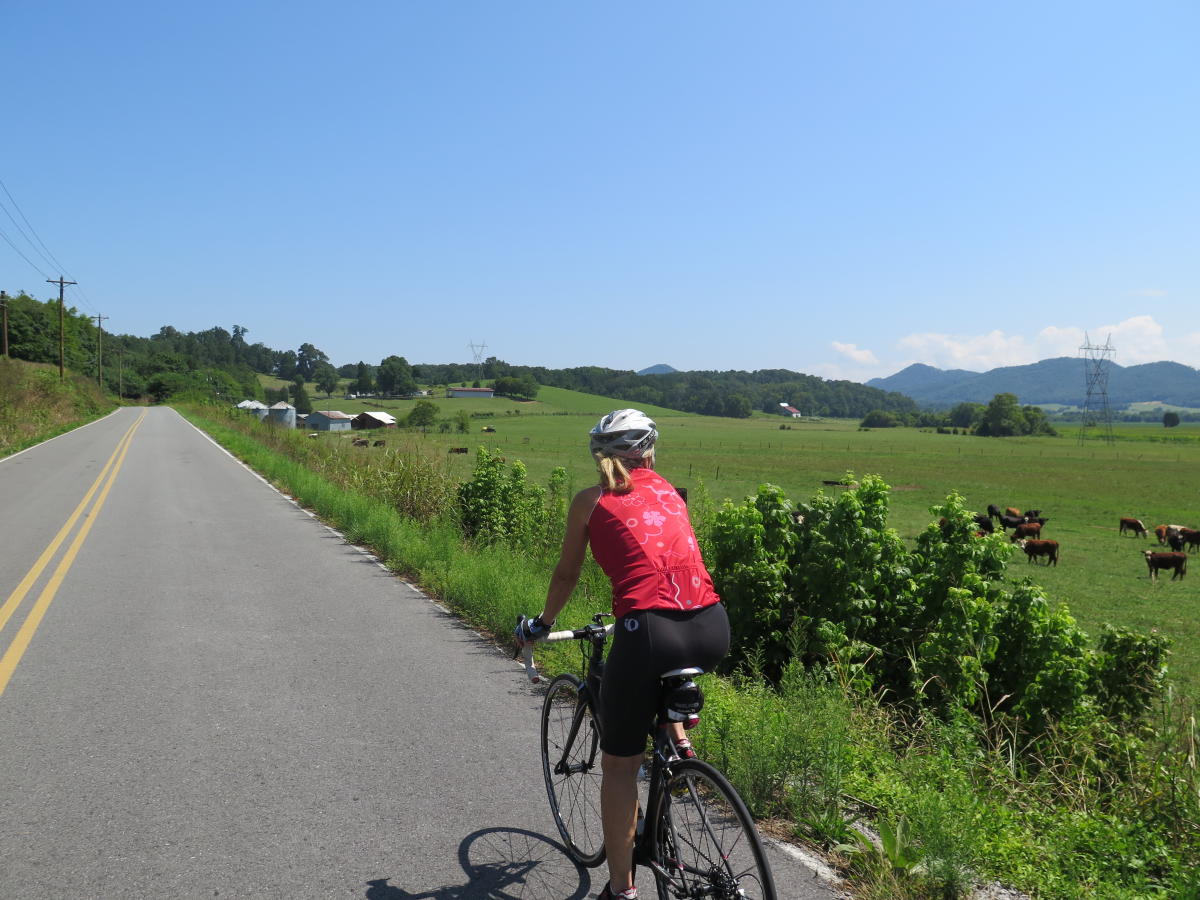 Road Cycling to Discover Knoxville’s Beautiful Ridges & Valleys