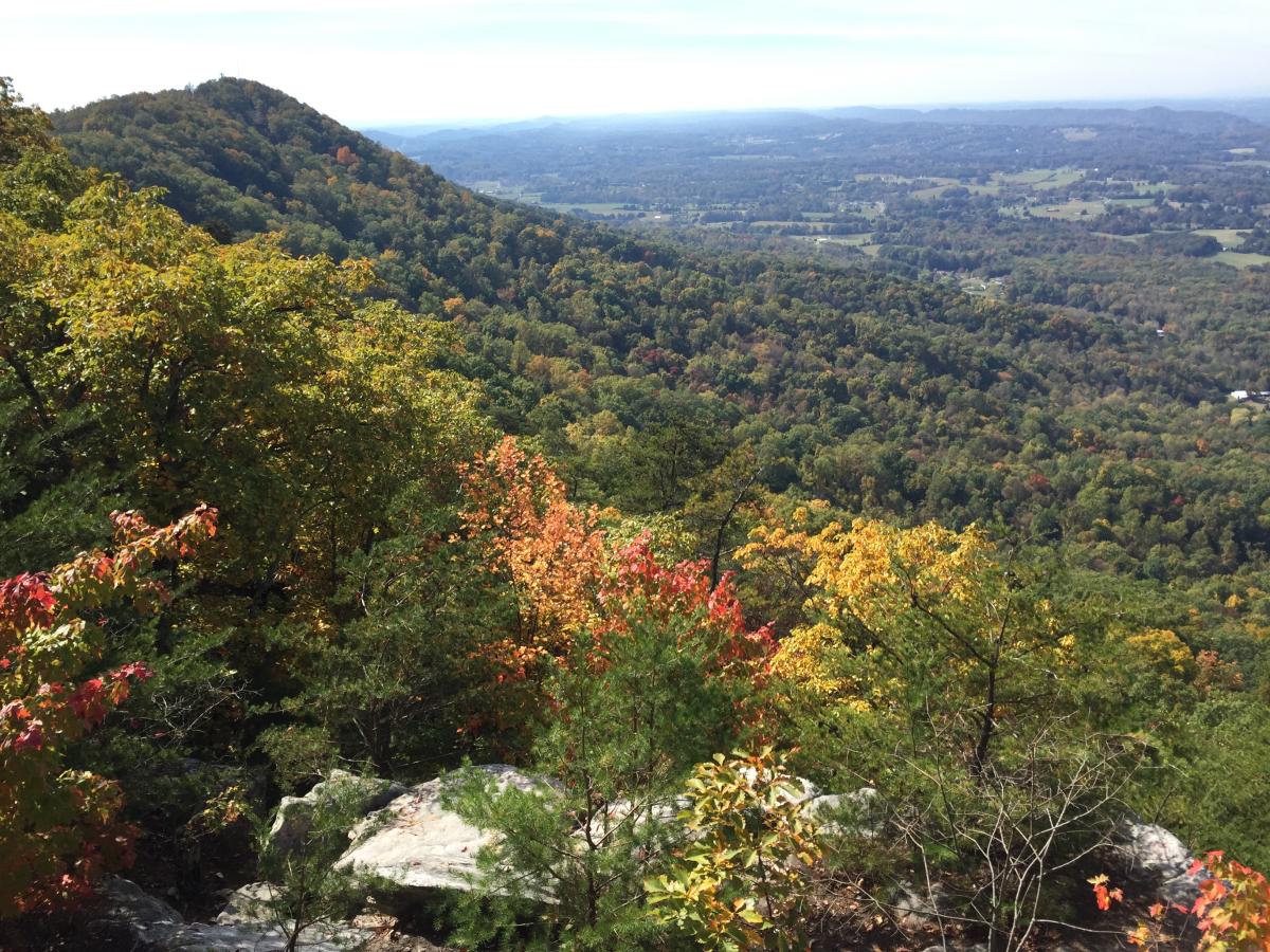 The best places in Knoxville to see the leaves change