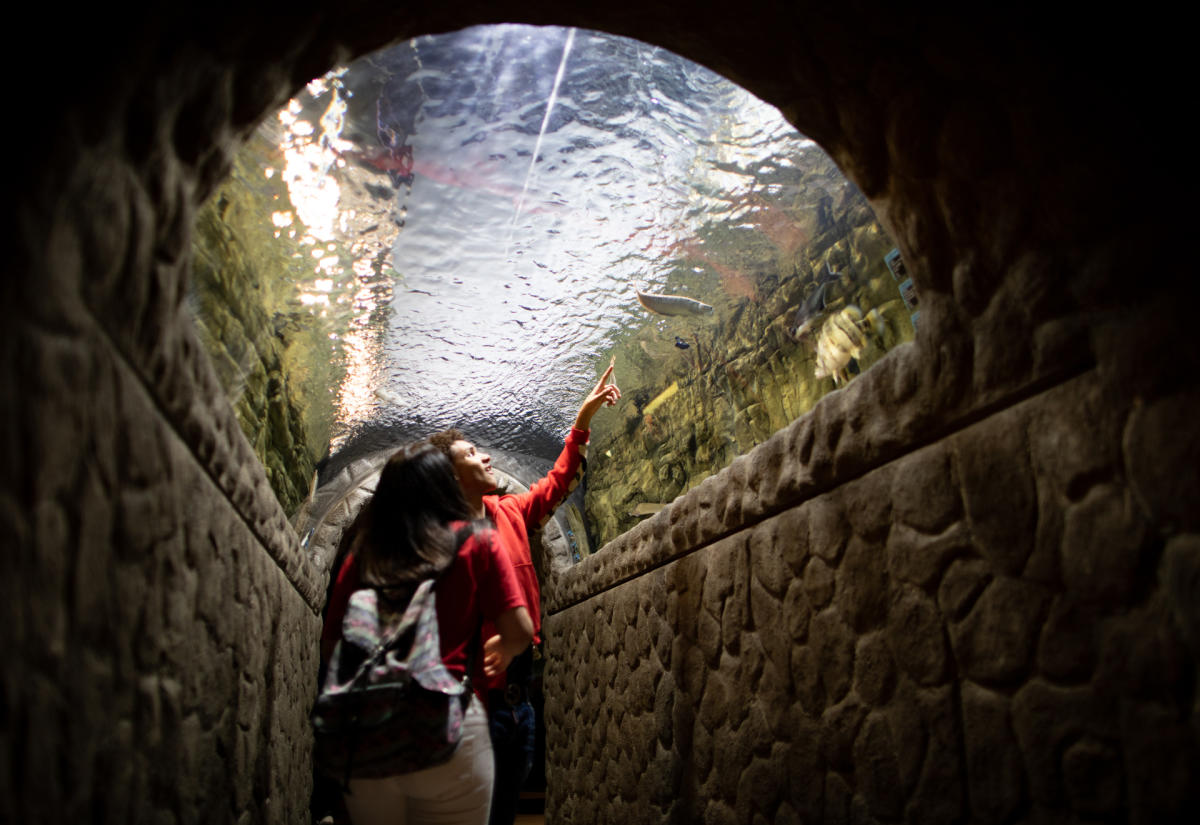 Attractions In Lackawanna County Aquarium Parks Museums