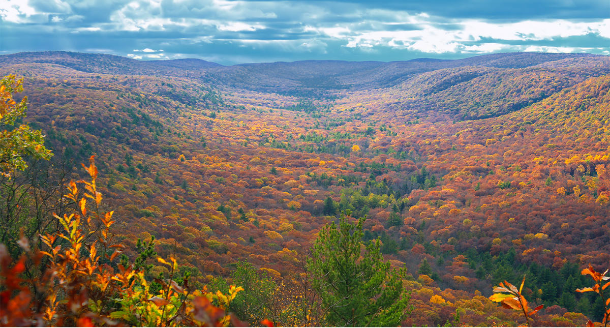 Things To Do  Lackawanna County CVB - Scranton, PA