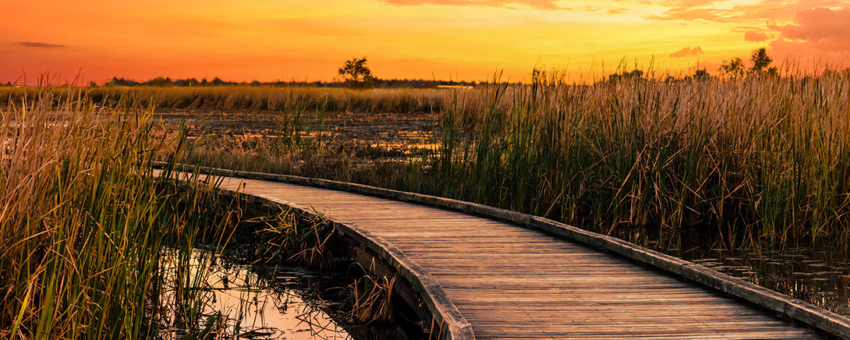 Trip Planning | Lake Charles, LA