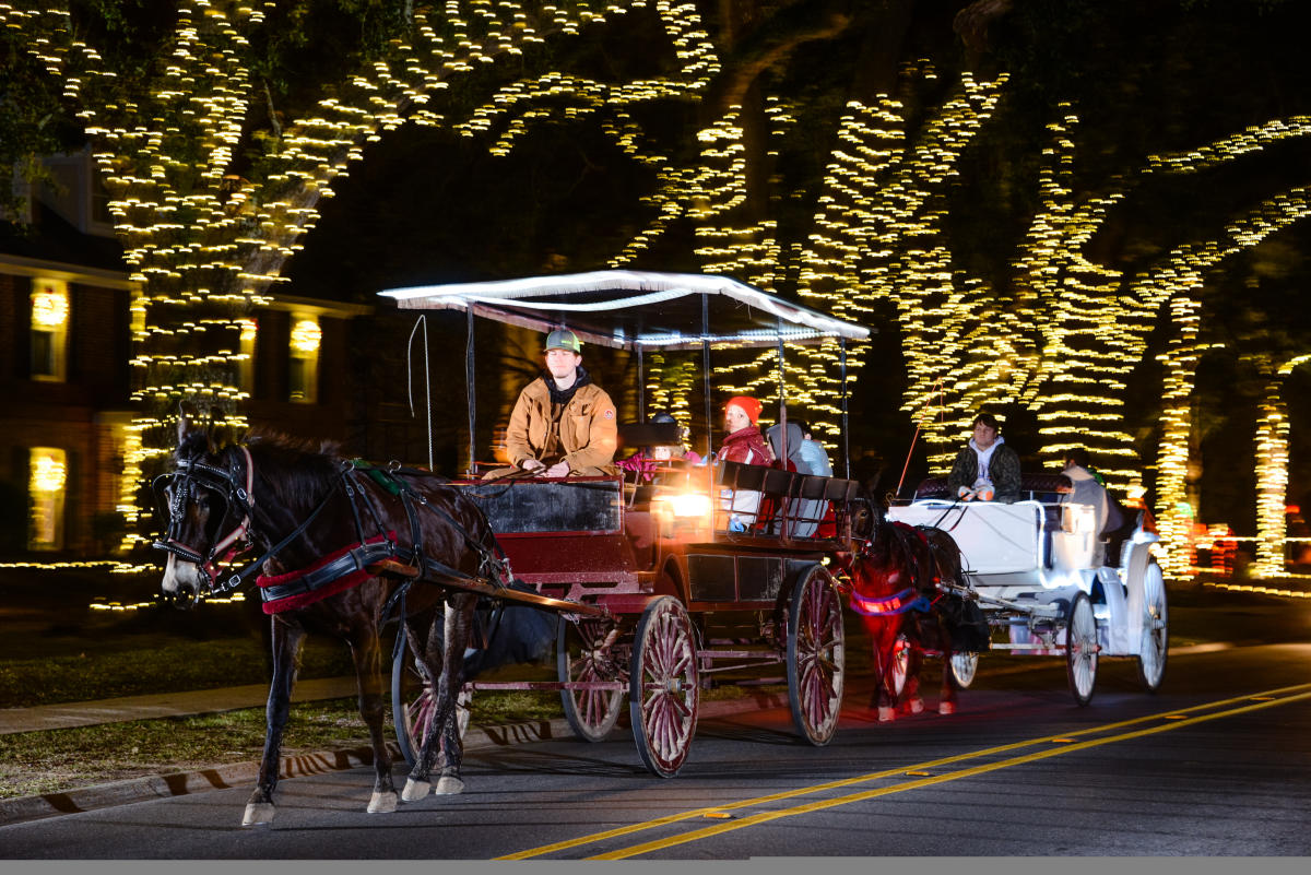 Magical Holiday Lights and Sights in Lake Charles 🎅