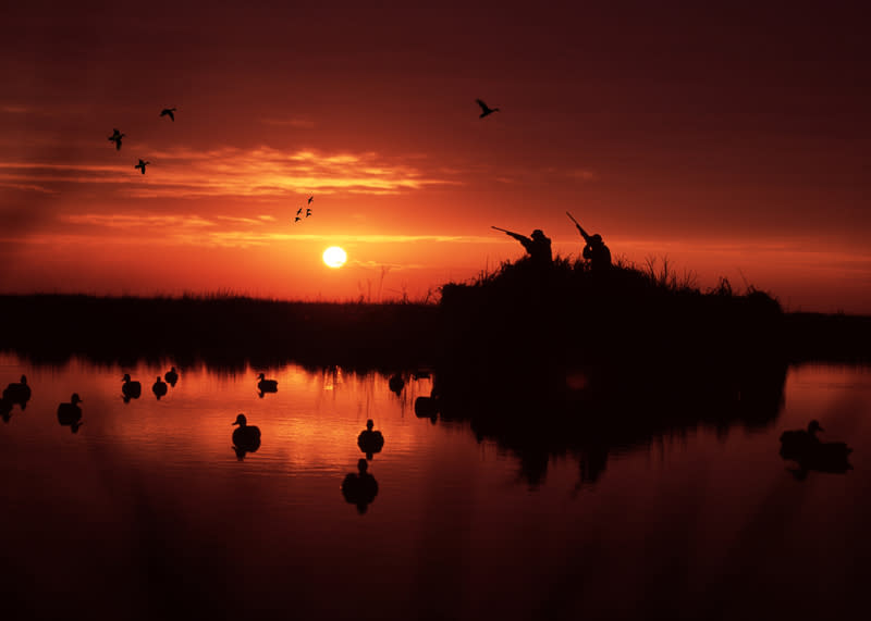 Hunting Season in Louisiana License, Regulations, Guides Visit Lake