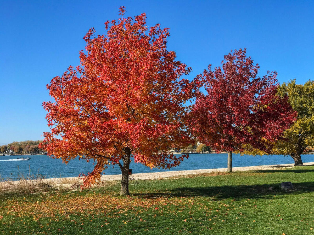 Things to Do in Fall - Shores & Islands Ohio