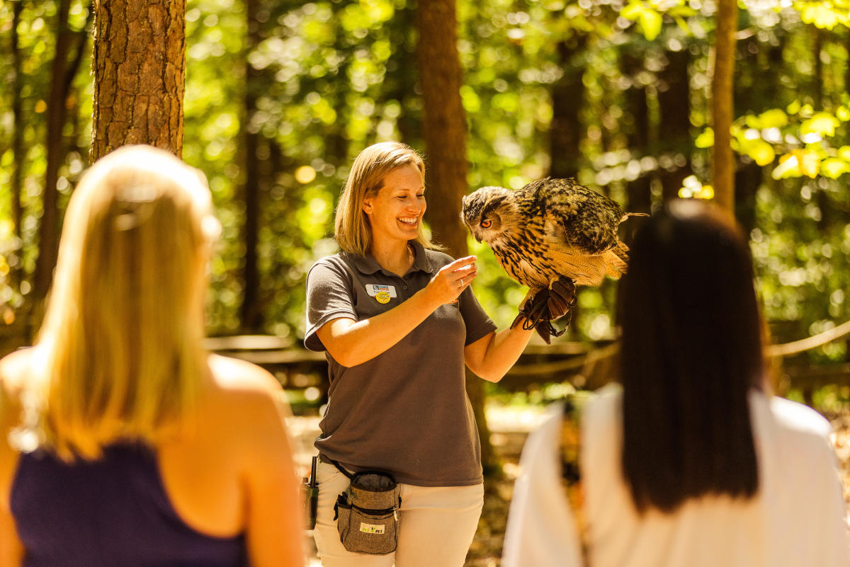 Carolina Raptor Center | Science & Learning Opportunities