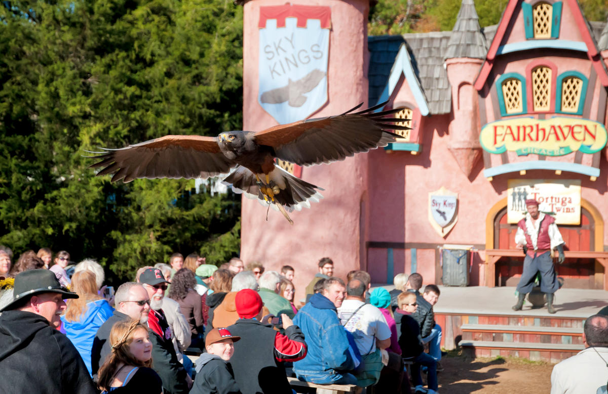 Travel Back in Time at the Renaissance Festival