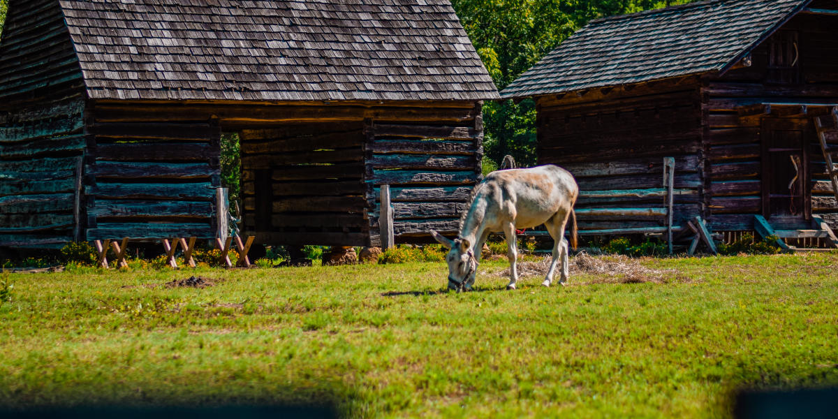 Spend Day Exploring Huntersville
