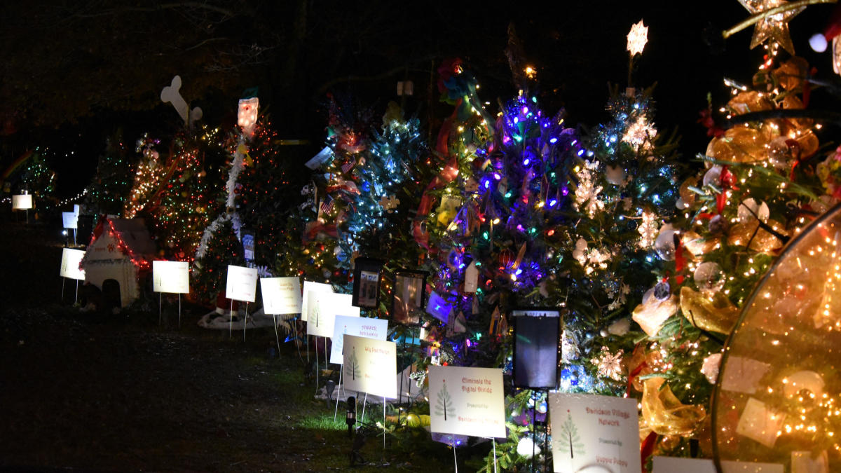 13 Winter Events In Lake Norman