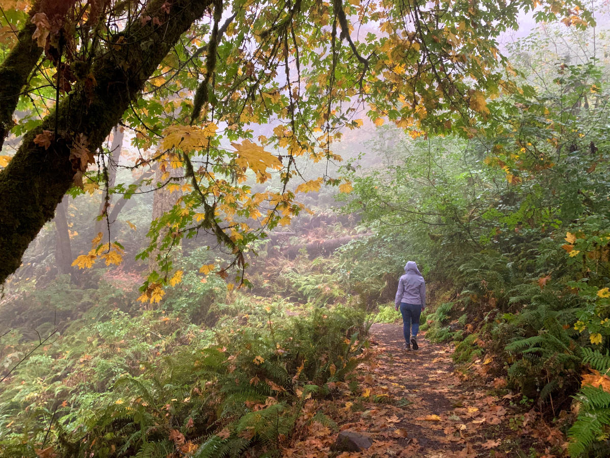 rainy day hikes