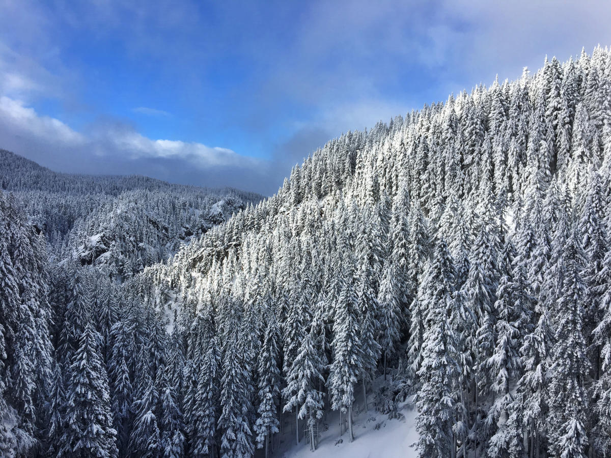 Snowy Winter Getaways Eugene Cascades Oregon Coast