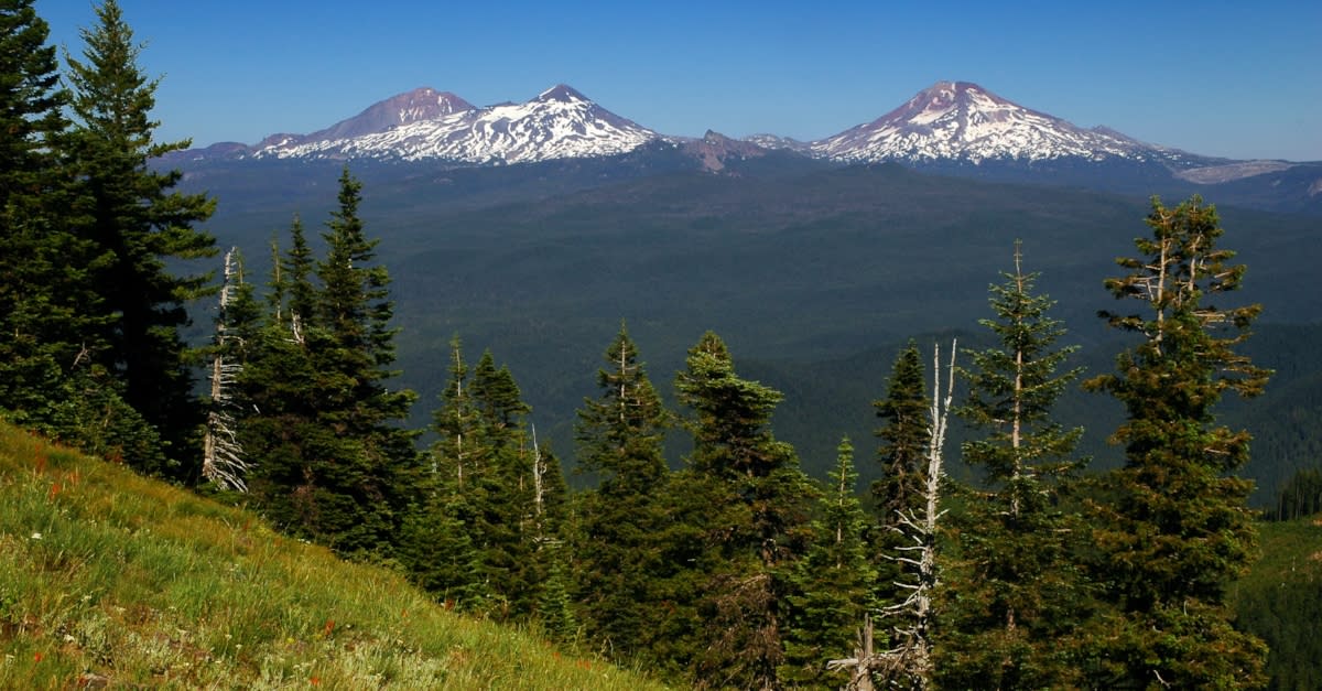 Pacific Crest Trail Eugene Cascades Amp Oregon Coast