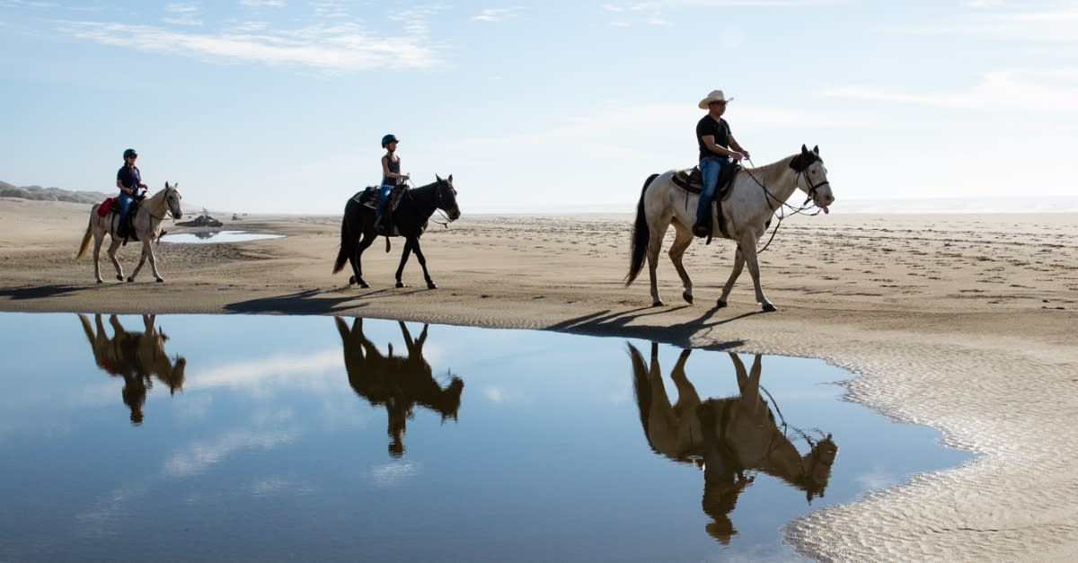 Horseback Riding as Team Building Eugene, Cascades & Oregon Coast
