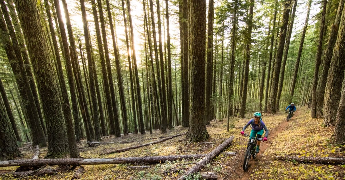 Mountain Biking Trails Eugene, Cascades & Oregon Coast