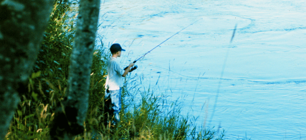Fishing Lane County Fishing License Eugene Cascades Oregon Coast