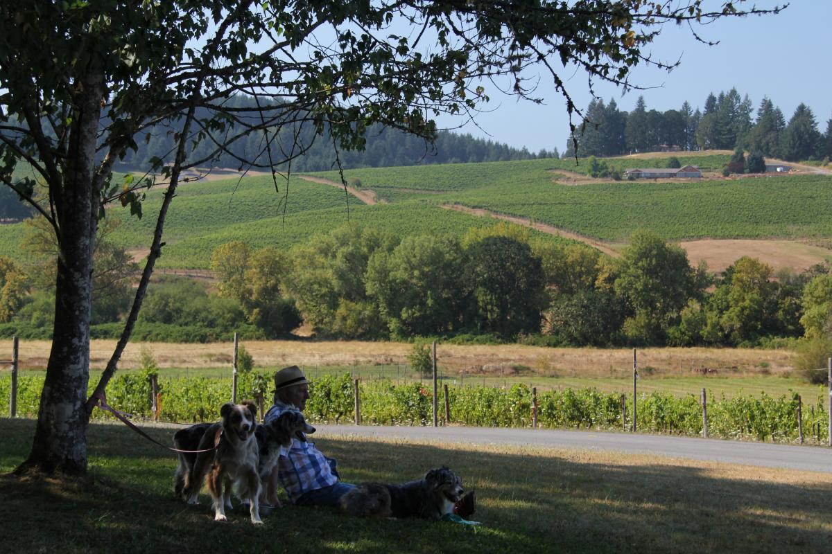 Oregon Official Visitor Information & Inspiration