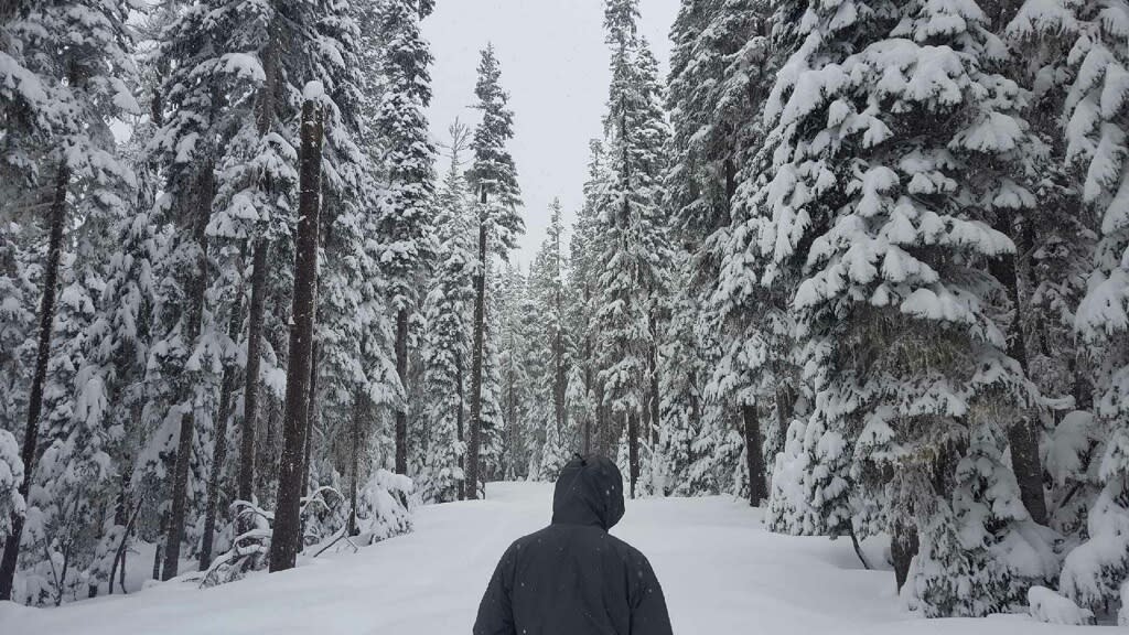 Snowshoeing Adventures In Oakridge Eugene, Cascades & Oregon Coast