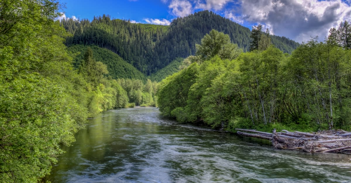 Oregon Rivers Eugene Cascades Oregon Coast