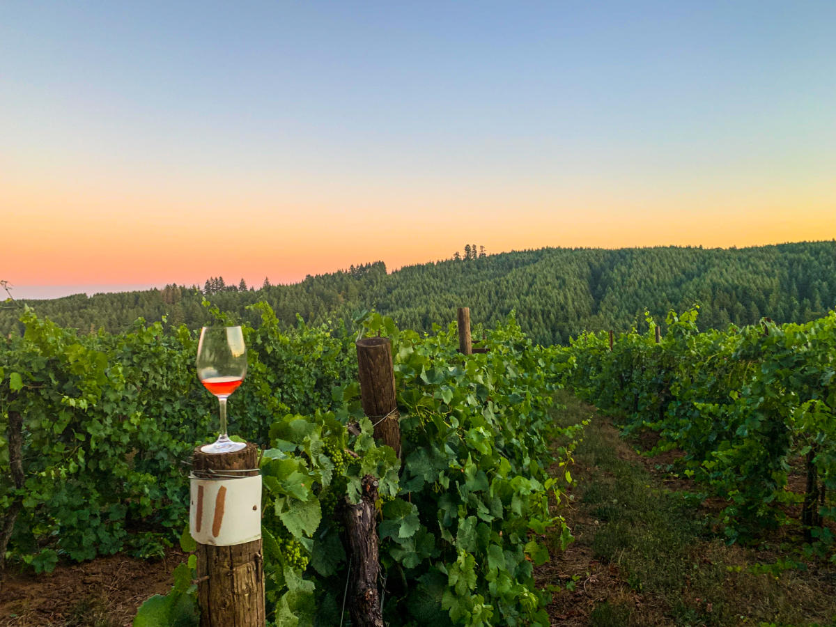 Wine country near me sales